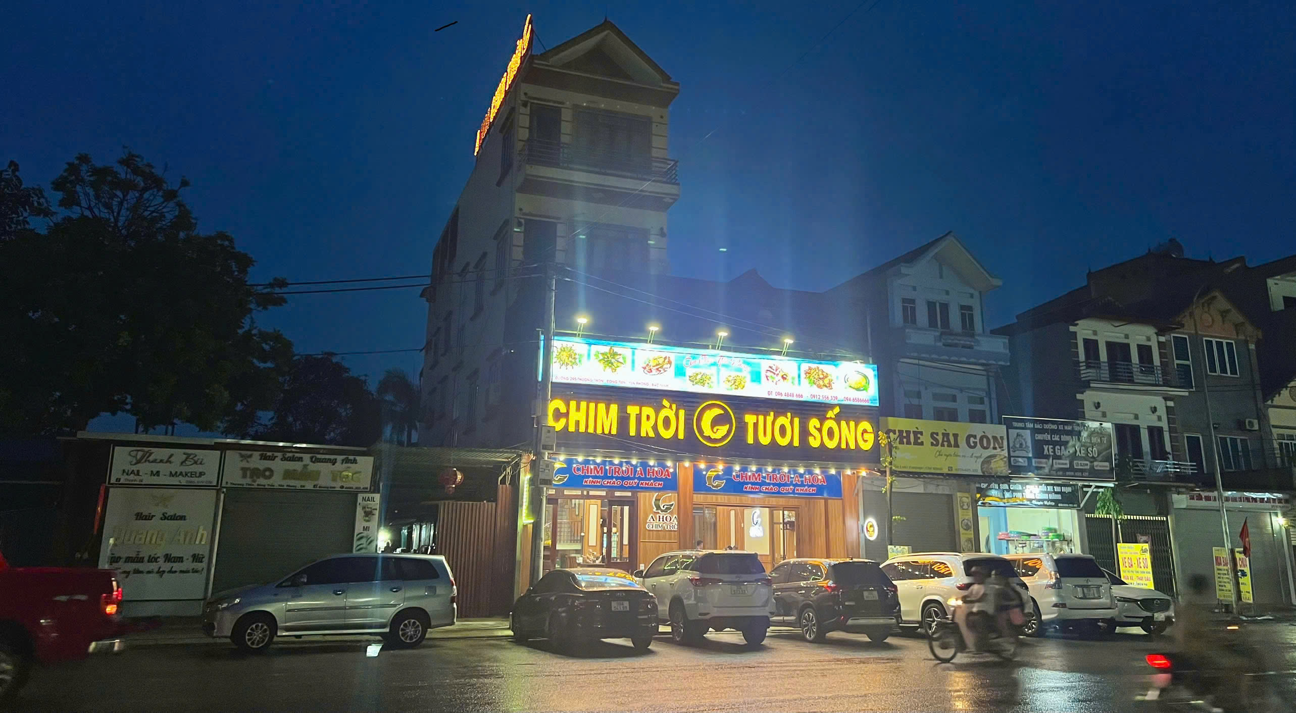 Logo công ty